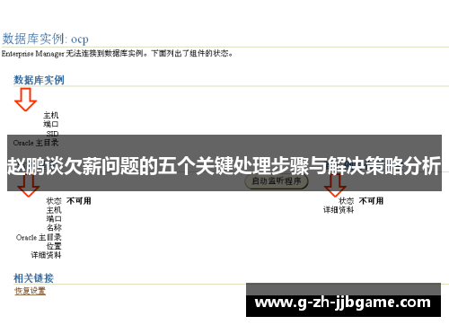 赵鹏谈欠薪问题的五个关键处理步骤与解决策略分析