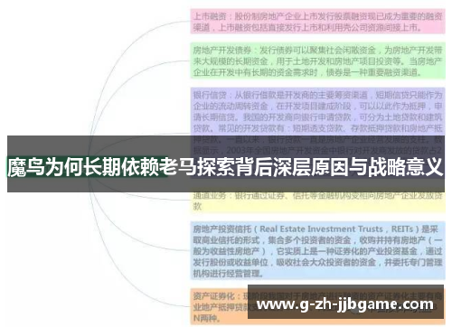 魔鸟为何长期依赖老马探索背后深层原因与战略意义